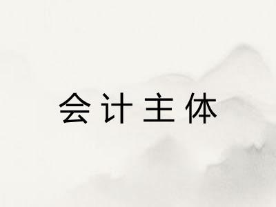 会计主体