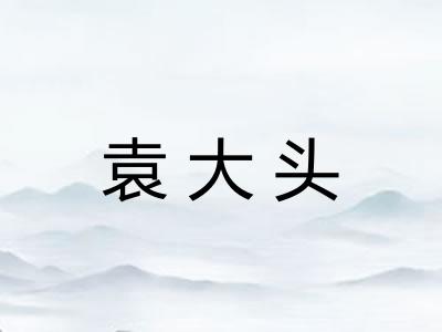袁大头
