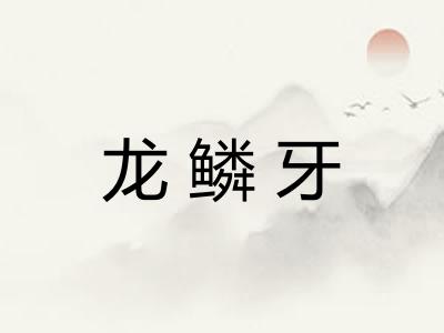 龙鳞牙