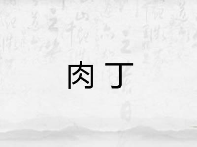 肉丁
