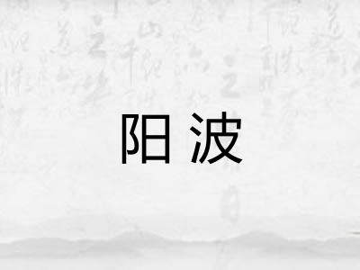 阳波