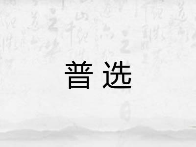 普选
