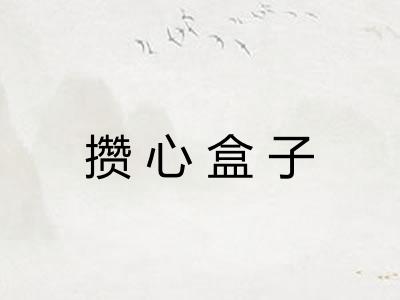 攒心盒子