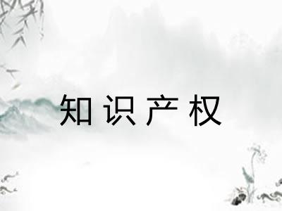 知识产权
