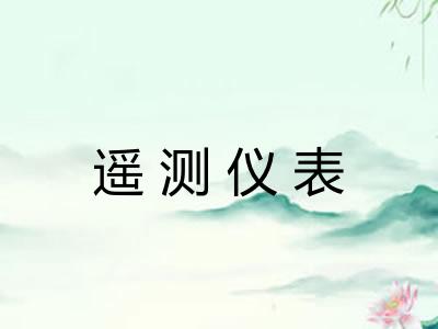 遥测仪表