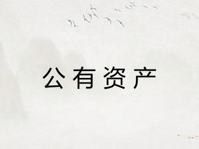 公有资产