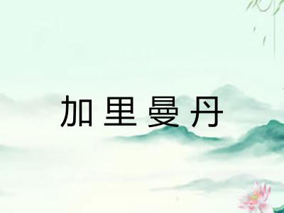 加里曼丹
