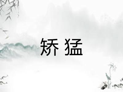 矫猛