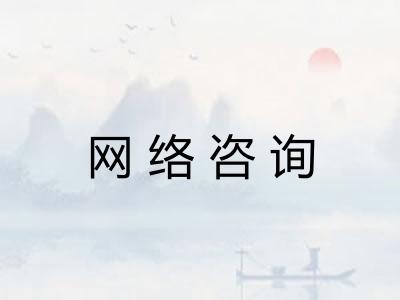网络咨询
