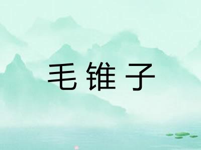 毛锥子