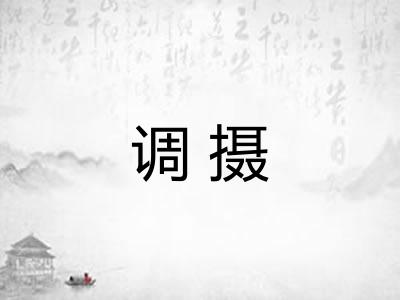 调摄