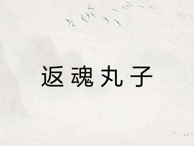 返魂丸子
