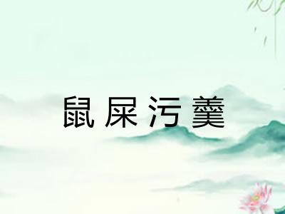 鼠屎污羹