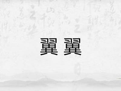 翼翼