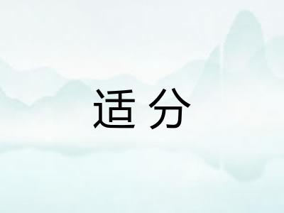 适分