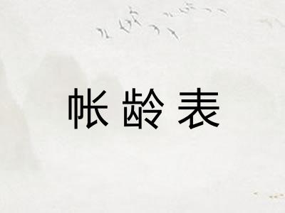 帐龄表