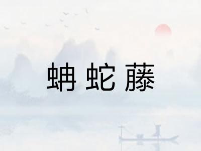 蚺蛇藤