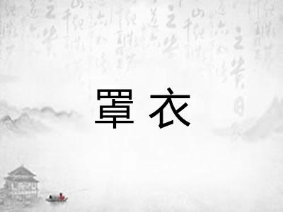 罩衣