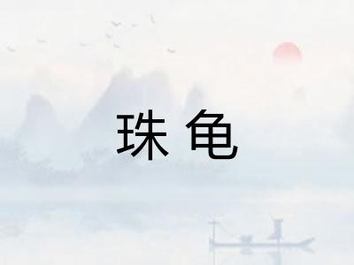 珠龟