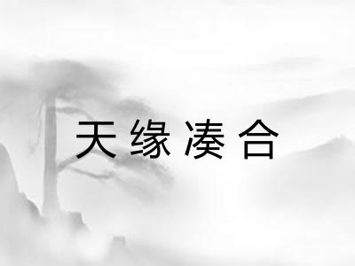 天缘凑合