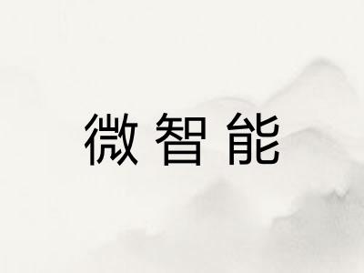 微智能
