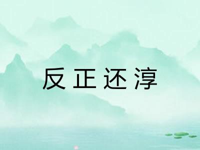 反正还淳