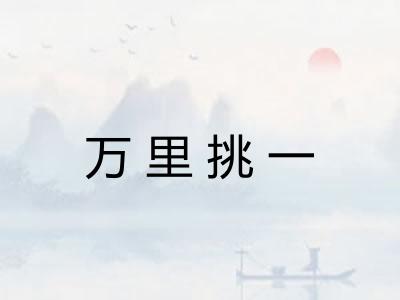 万里挑一