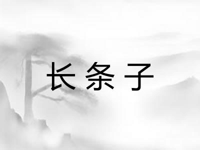 长条子