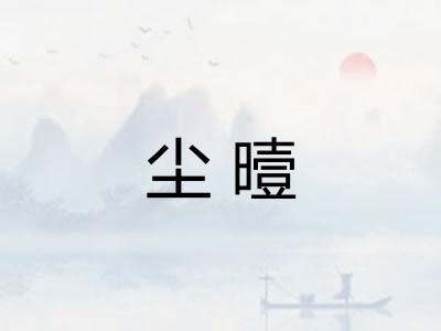 尘曀