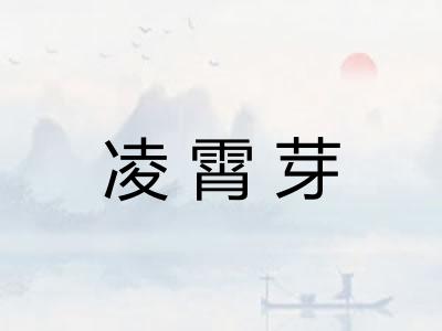 凌霄芽
