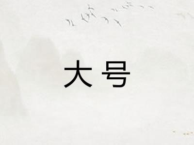 大号