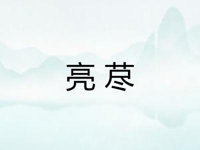 亮荩
