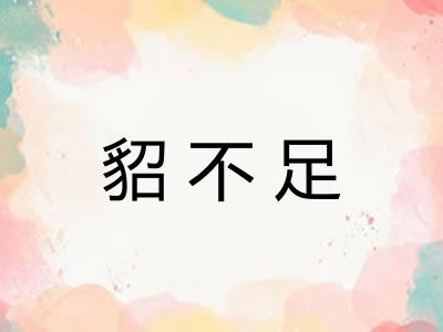 貂不足