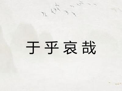 于乎哀哉
