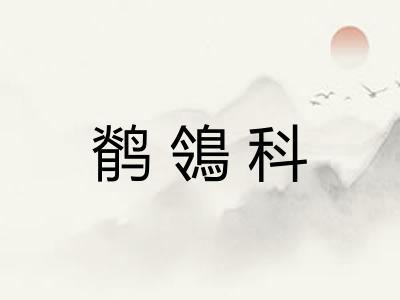 鹡鴒科