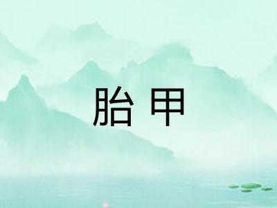 胎甲