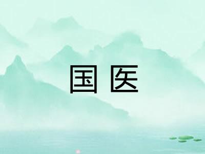 国医