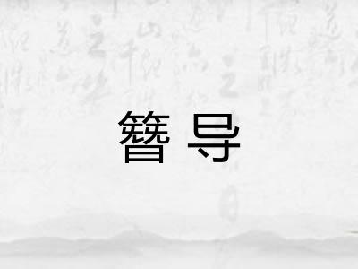 簪导