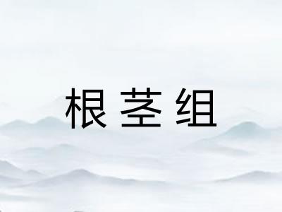 根茎组