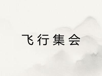 飞行集会