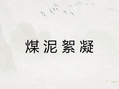 煤泥絮凝