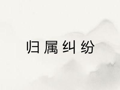 归属纠纷