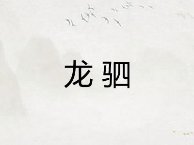 龙驷