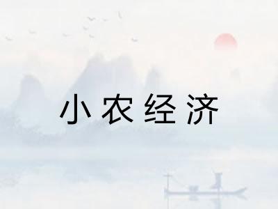 小农经济
