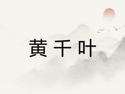 黄千叶
