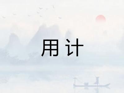 用计
