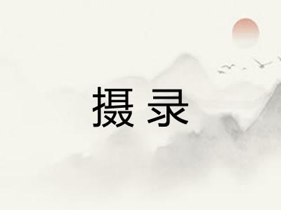 摄录