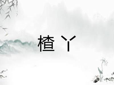 楂丫