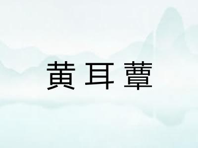 黄耳蕈