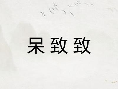 呆致致